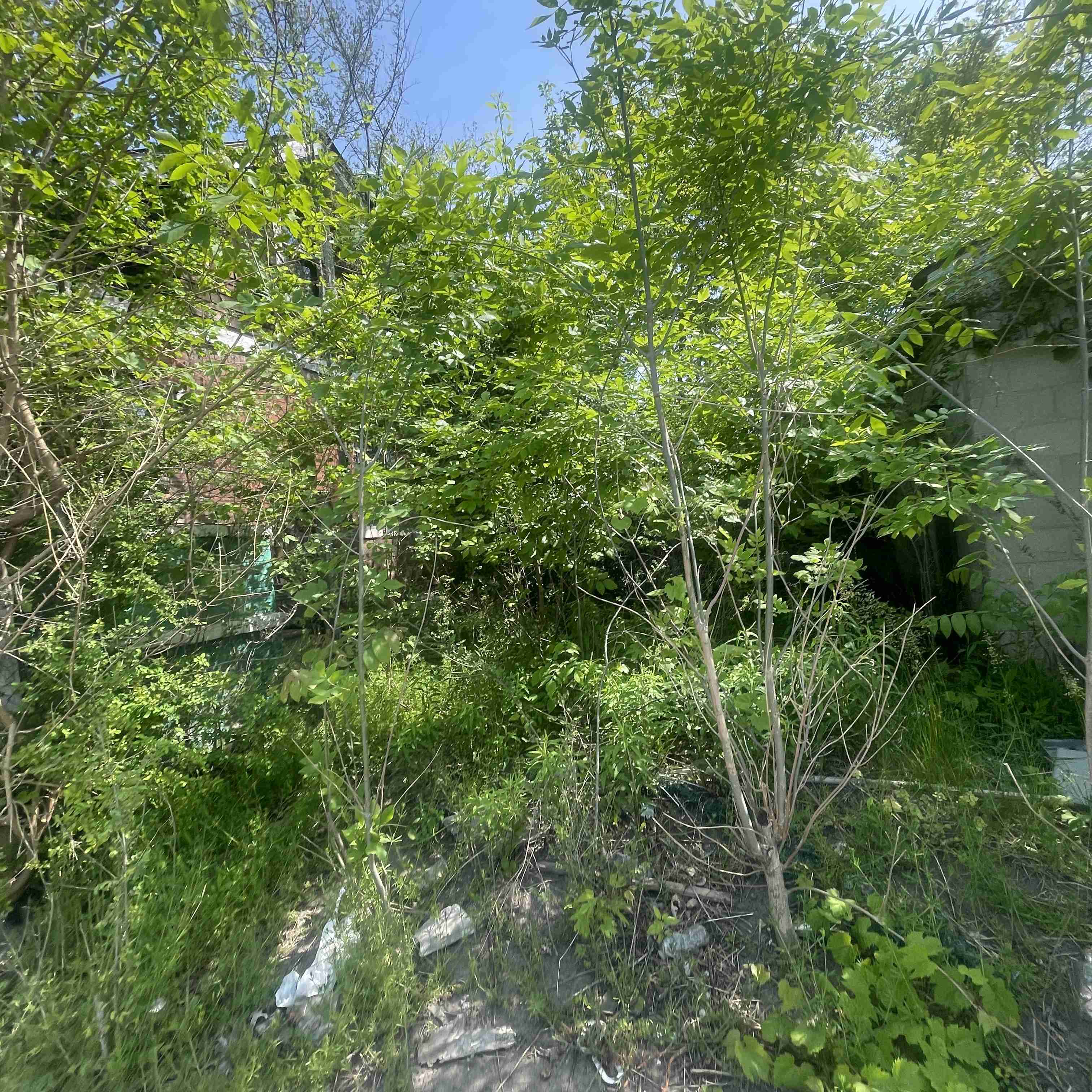 5605 S Martindale (15).jpg